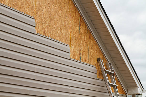 Professional Siding Repair technician working in Petersburg, VA
